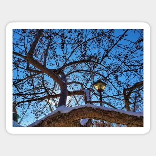 Lamp Post in the Trees Sticker